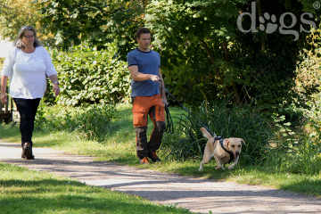 Reportageshooting_DOGS Waldkirch_Breitenkamp_240917-1507_klein