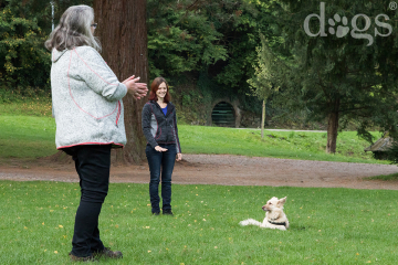 Reportageshooting_DOGS Waldkirch_Breitenkamp_240917-015_klein