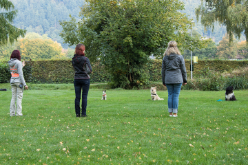 Reportageshooting_DOGS Waldkirch_Breitenkamp_240917-052_klein