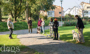 Reportageshooting_DOGS Waldkirch_Breitenkamp_240917-495_klein