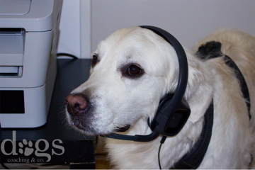 Woff_Woof_Telephone_Wasserzeichen